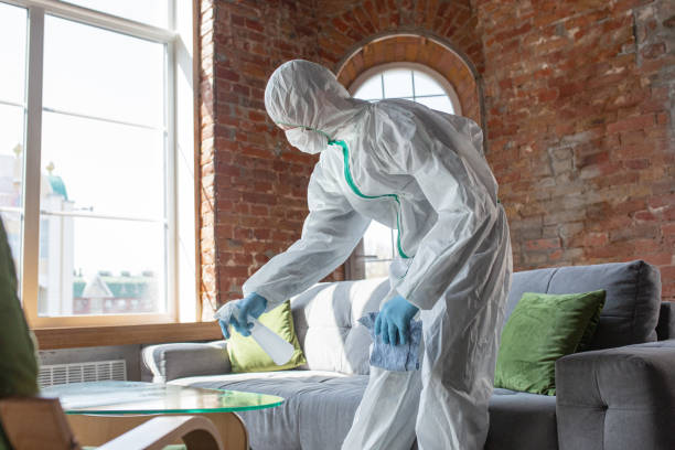 Best Mold Odor Removal Services  in USA